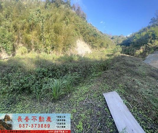 頭屋農地_山坡地_林地-4