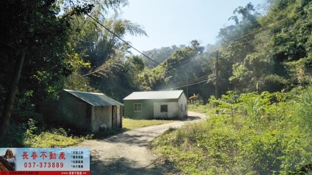 頭屋農地_山坡地_林地-7