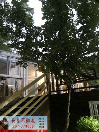 苗栗頭屋農地_休閒地_林地-2
