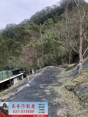 苗栗頭屋農地_休閒地_林地-3