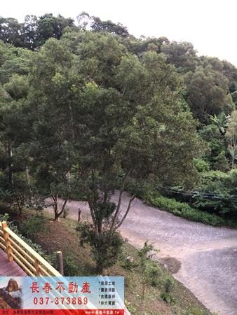 苗栗頭屋農地_休閒地_林地-4