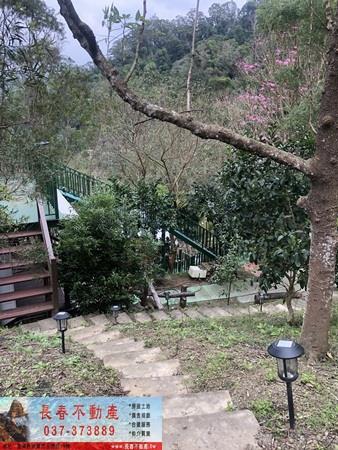 苗栗頭屋農地_休閒地_林地-5