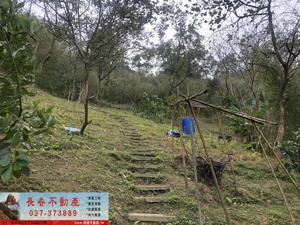 苗栗頭屋農地_休閒地_林地-6