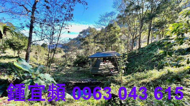 尖石農地_山坡地-15