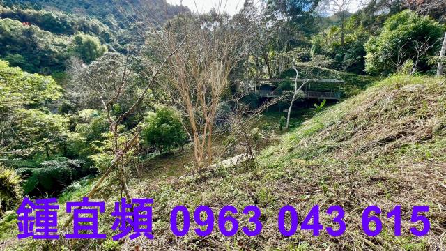 尖石農地_山坡地-6
