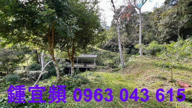 尖石農地_山坡地-7
