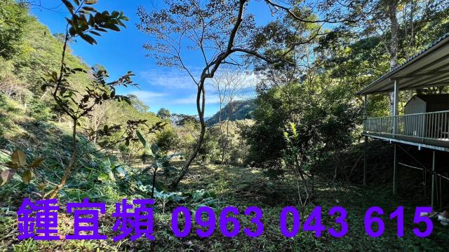 尖石農地_山坡地-9