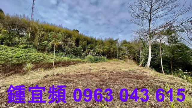 尖石農地_山坡地-11