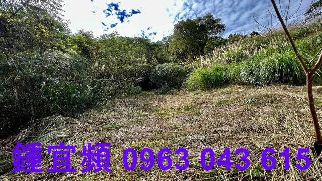 尖石農地_山坡地-4