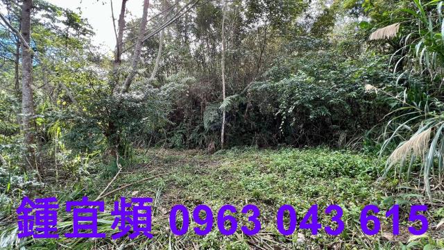 尖石農地_山坡地-5