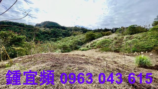 尖石農地_山坡地-9