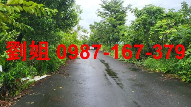 高雄大樹農地_建地_休閒地-1