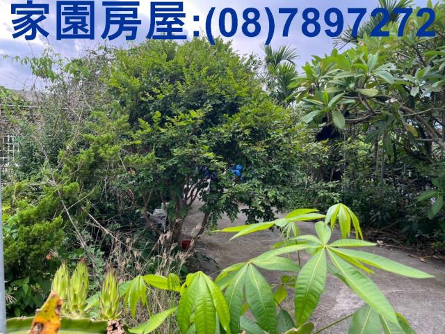 竹田農地_休閒地-2