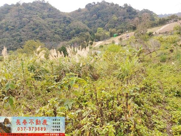 公館農地_山坡地-1