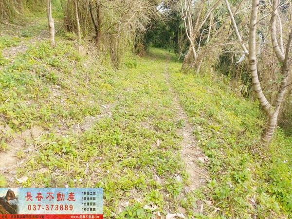 公館農地_山坡地-4