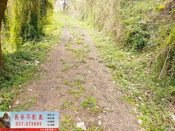 公館農地_山坡地-6