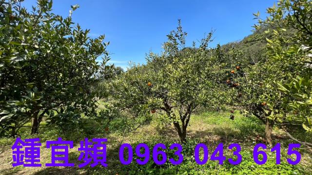 新竹芎林農地_山坡地_休閒地-11