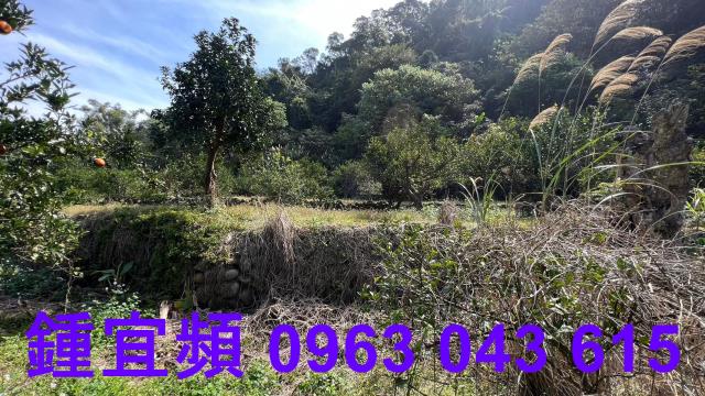 新竹芎林農地_山坡地_休閒地-12