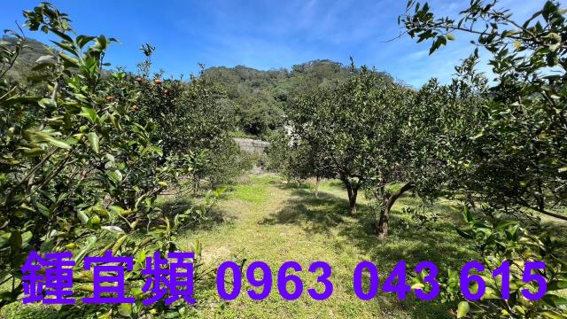 新竹芎林農地_山坡地_休閒地-14