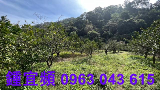 新竹芎林農地_山坡地_休閒地-15