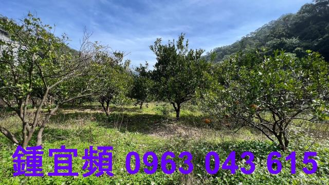 新竹芎林農地_山坡地_休閒地-5