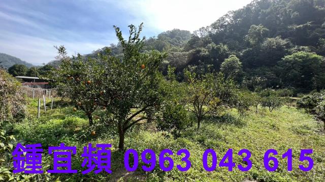 新竹芎林農地_山坡地_休閒地-7