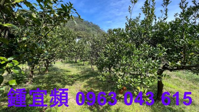 新竹芎林農地_山坡地_休閒地-9