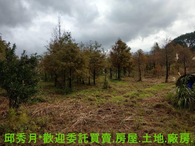新北淡水農地-3
