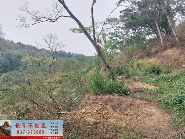 苗栗西湖農地_休閒地-2