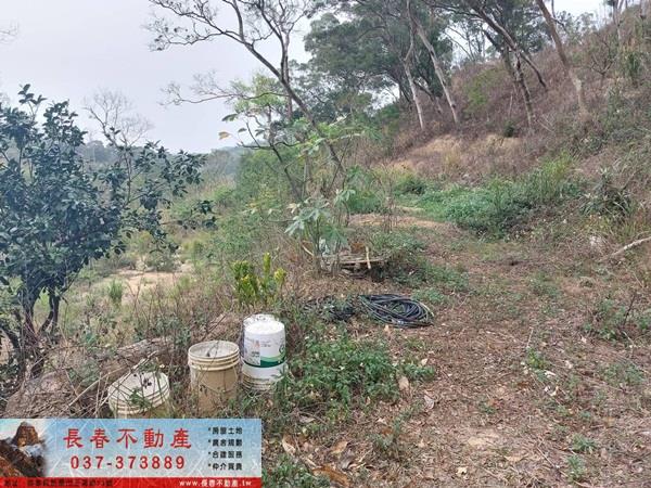 苗栗西湖農地_休閒地-3