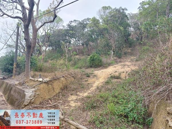 苗栗西湖農地_休閒地-5