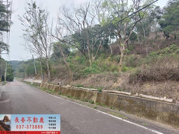 苗栗西湖農地_休閒地-8