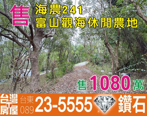 台東卑南農地-0