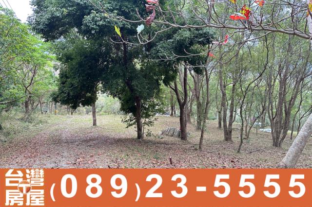 台東卑南農地-2