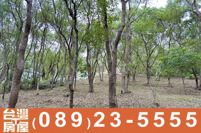 台東卑南農地-5