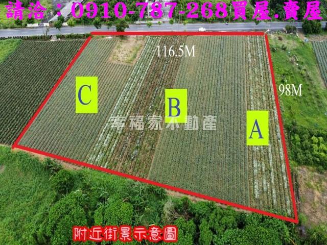 台南山上農地-3