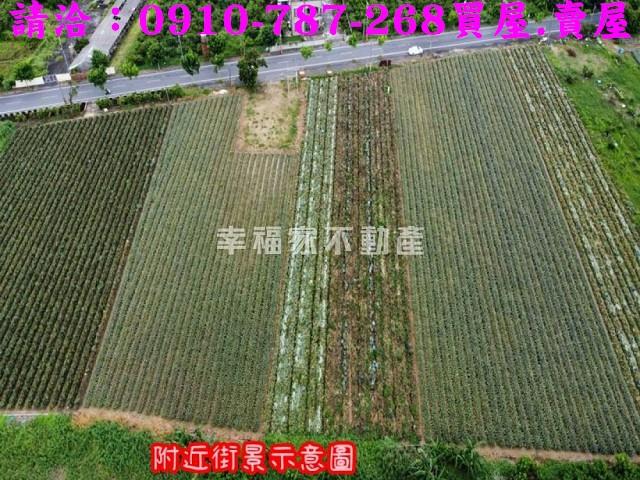 台南山上農地-4