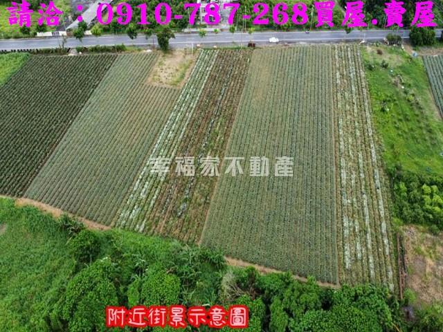 台南山上農地-5