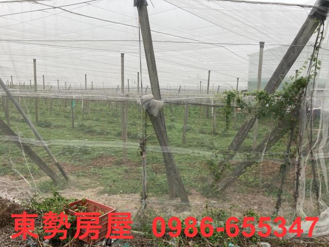 台中農地-3