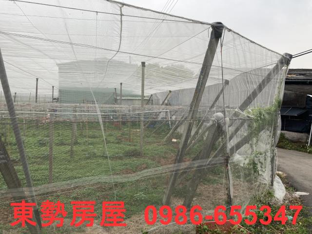 台中農地-8