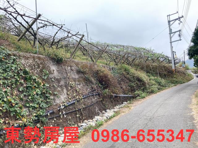 和平農地-11