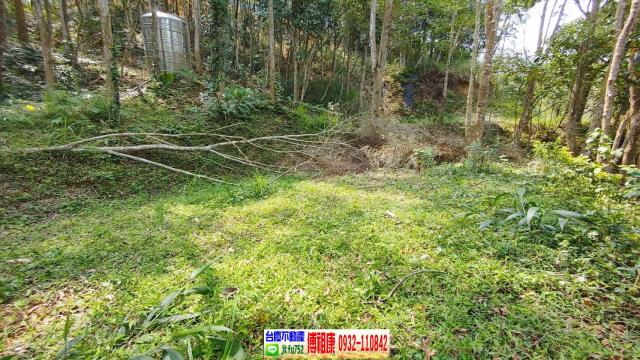北埔休閒地_林地-13