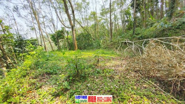 北埔休閒地_林地-14