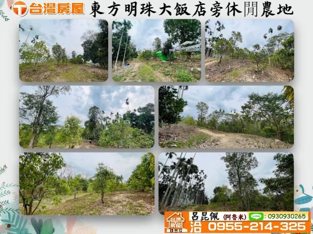 中埔農地-1