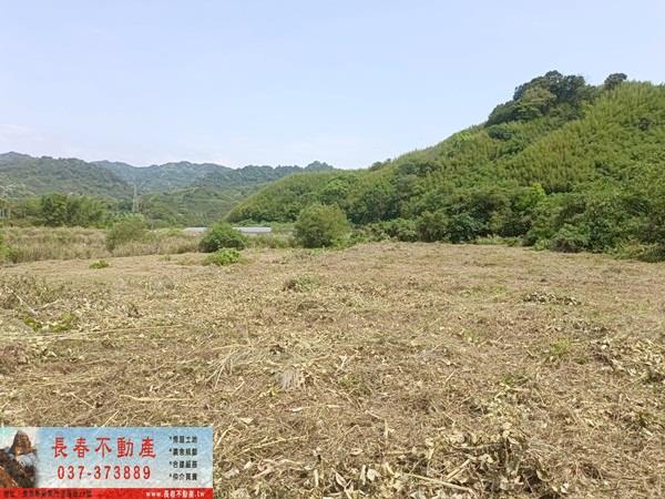 苗栗農地-1