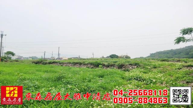 台中外埔農地-4