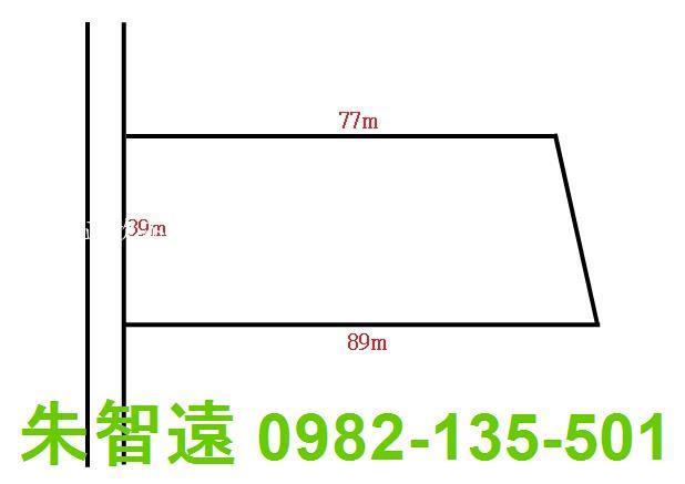 台南善化農地-5