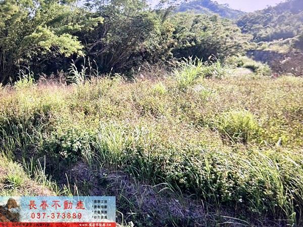 頭屋農地_建地_林地-1