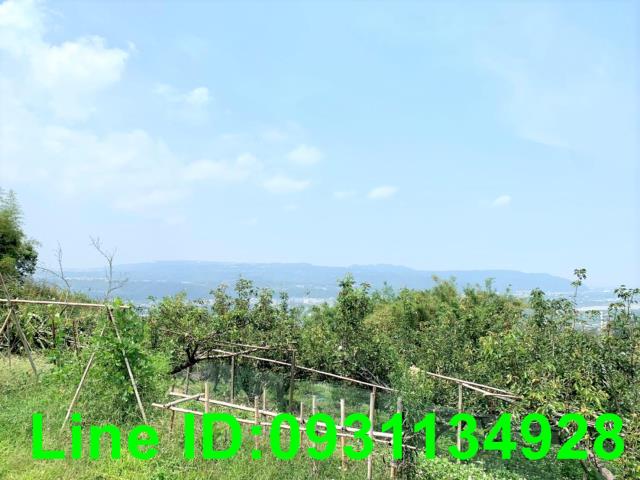 東勢農地_山坡地-2