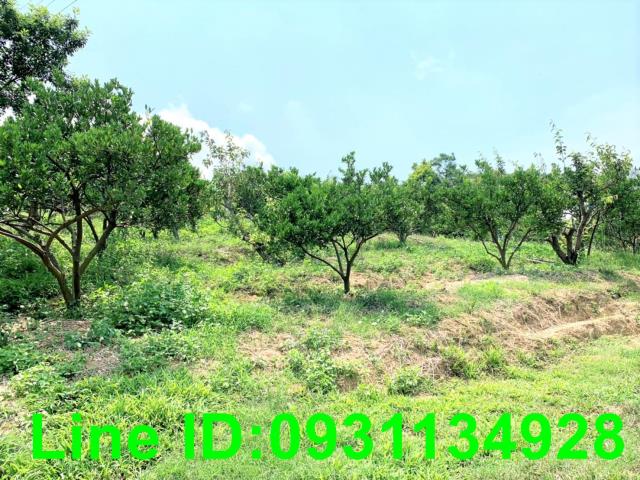 東勢農地_山坡地-3